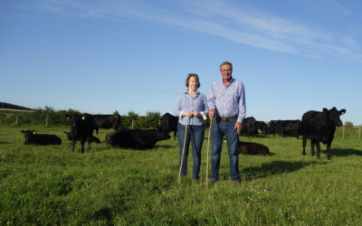 Passion and bloodlines are the key to success for the Deveron Herd 