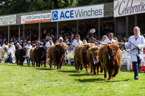 Turriff Show returns and plays host to iconic cattle national show