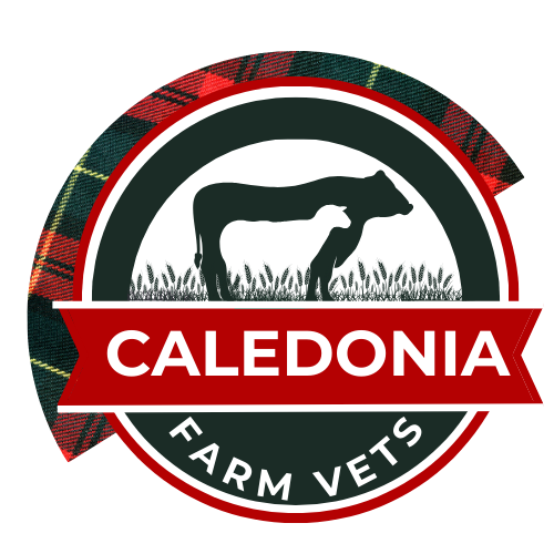 Caledonia Farm Vets