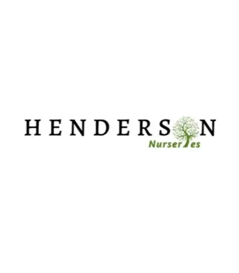 Henderson Nurseries